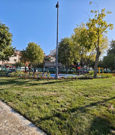 yasamvadisi (1)